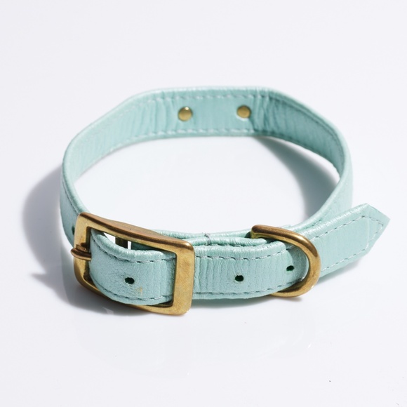 Leather Dog Collar by Hound Collection with Gold Bar Logo - Picture 2 of 8